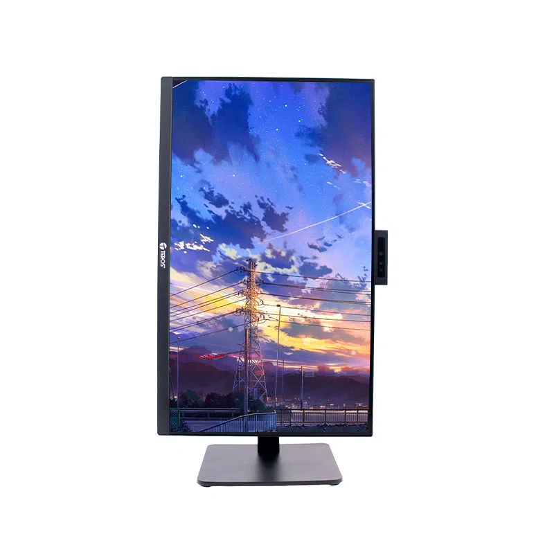 Monitor Plano Teros TE-2416CS, 23.8" QHD IPS, 100Hz, 1ms, HDMI, DP, Cámara, Micrófono